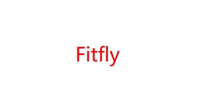 Fitfly