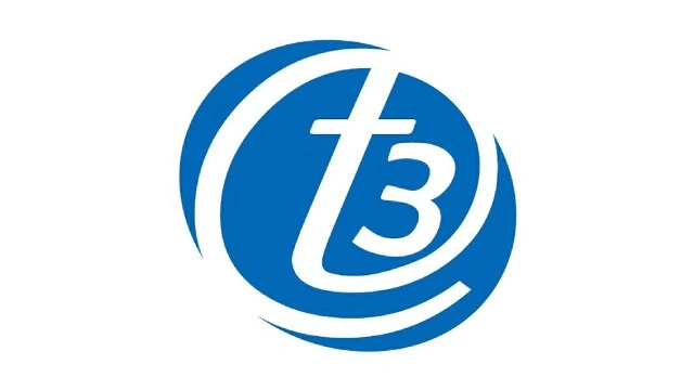 T3